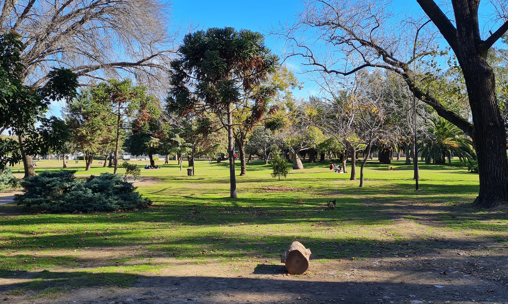 Parque amplio y verde del barrio con árboles, personas disfrutando del día y cielo despejado